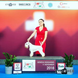 Giovane campionessa Svizzera - Giovane campionessa italiana 
